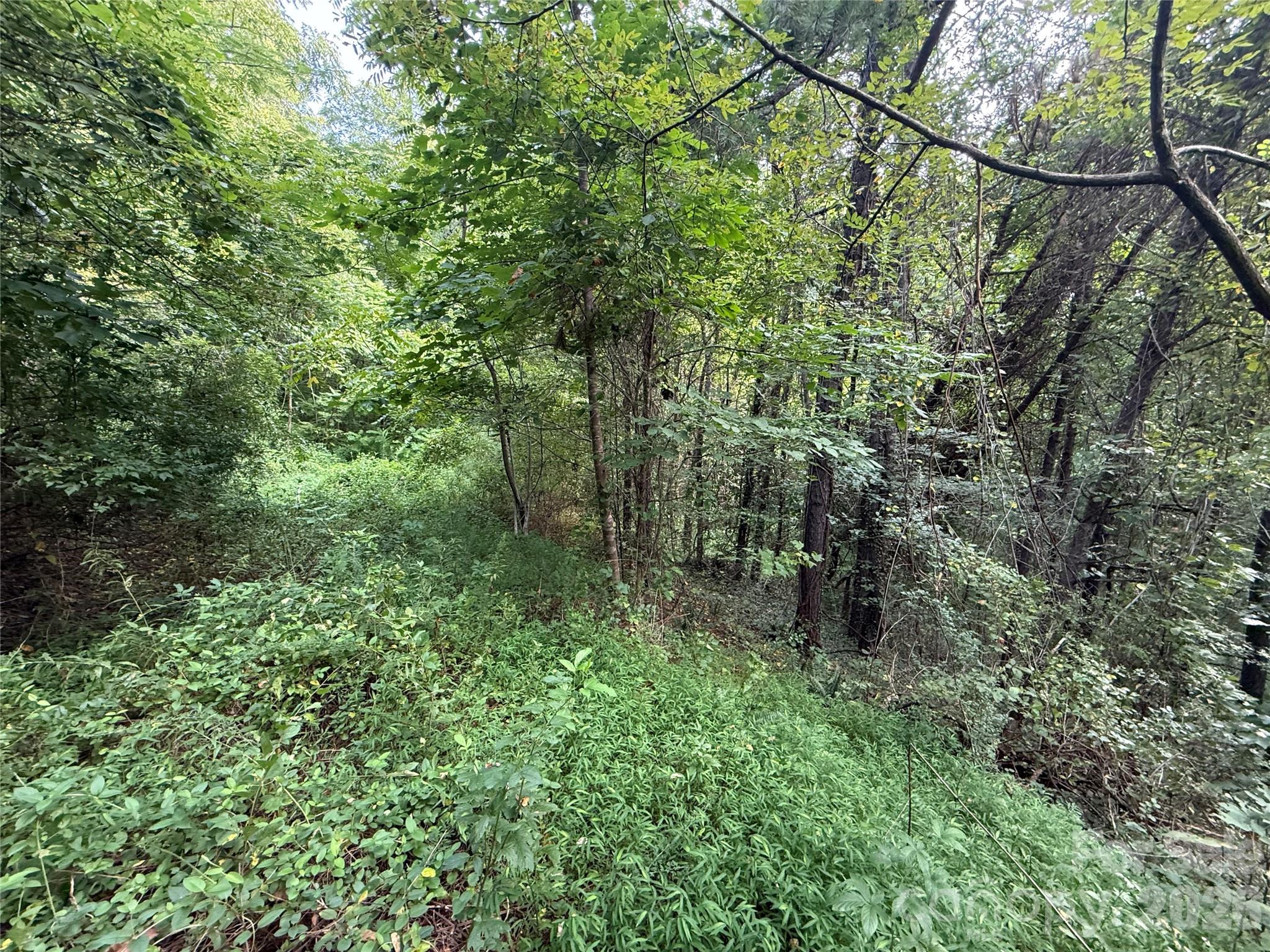 99999 Elk Mountain Ridge 13 Property Photo 15