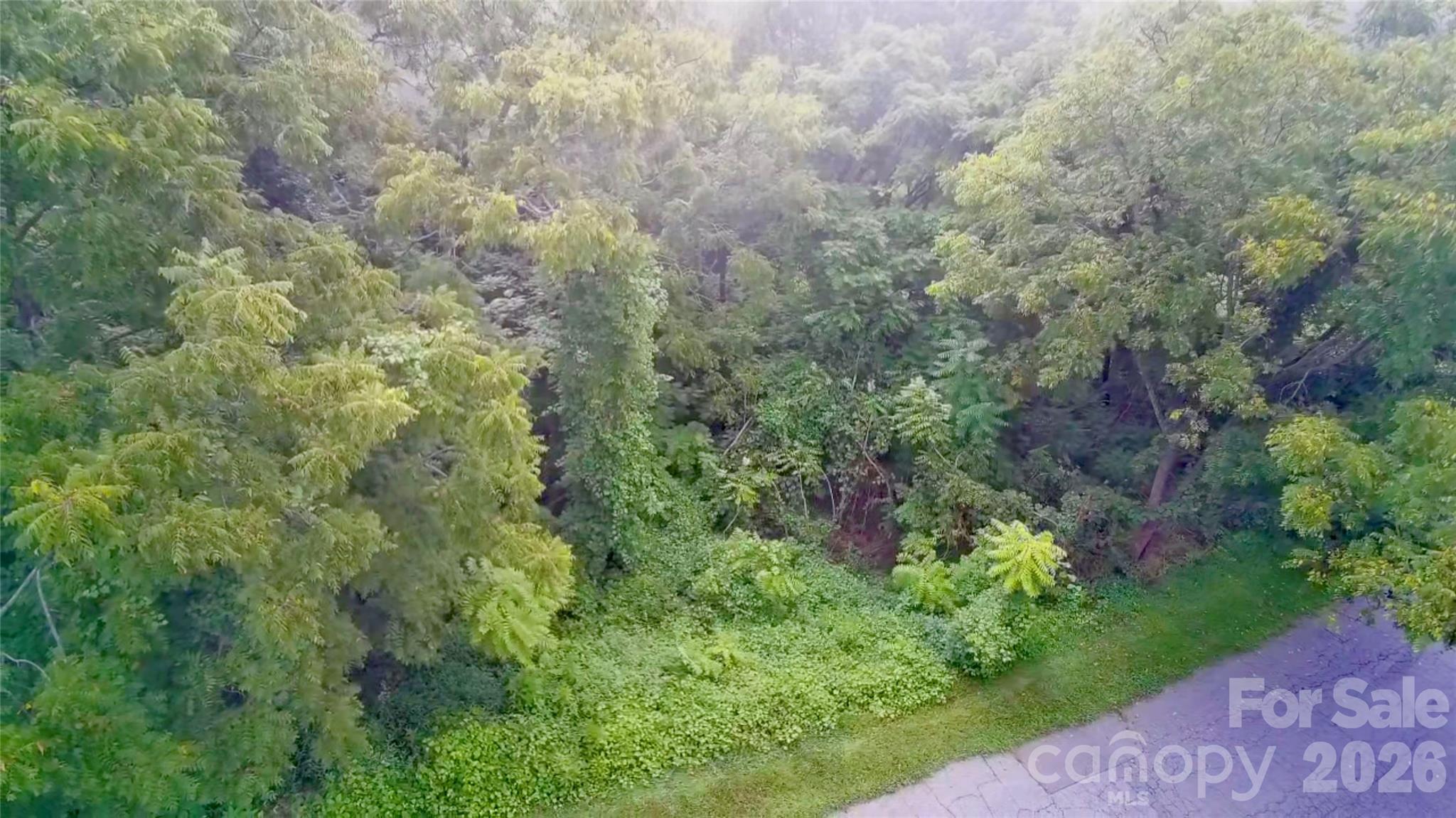 99999 Elk Mountain Ridge 13 Property Photo 18