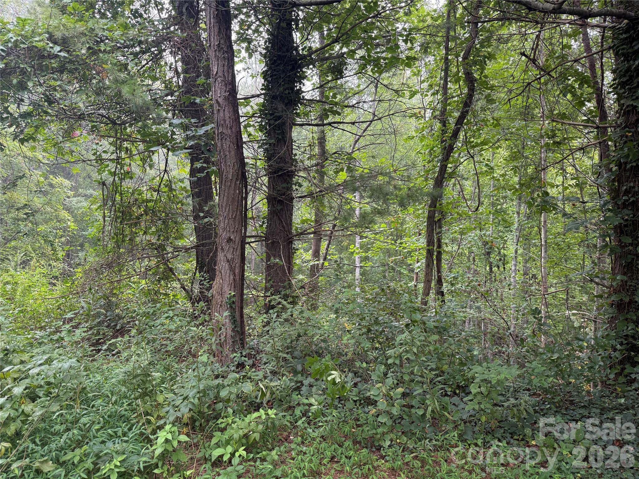 99999 Elk Mountain Ridge 13 Property Photo 22
