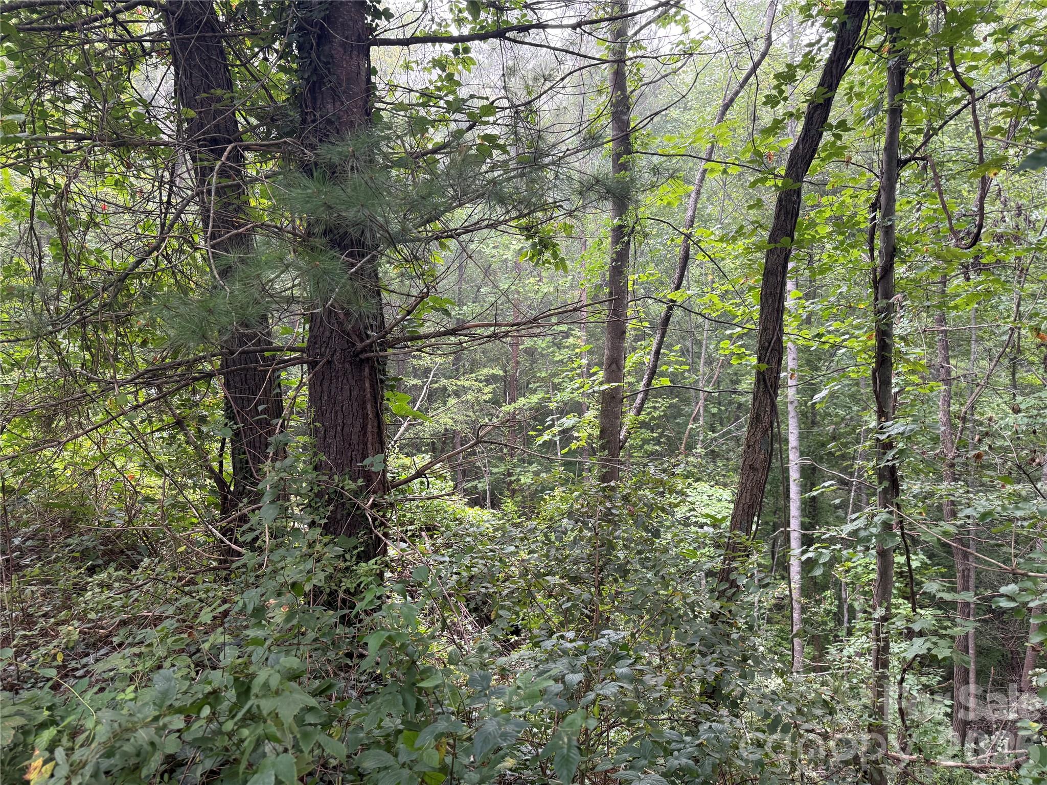 99999 Elk Mountain Ridge 13 Property Photo 23
