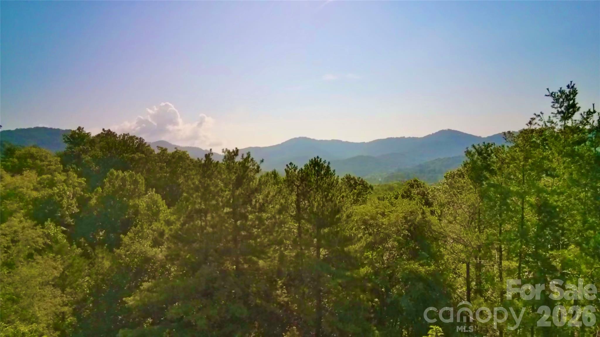 99999 Elk Mountain Ridge 14 Property Photo 7