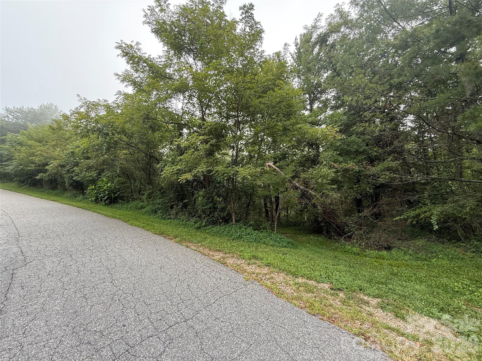 99999 Elk Mountain Ridge 14 Property Photo 20