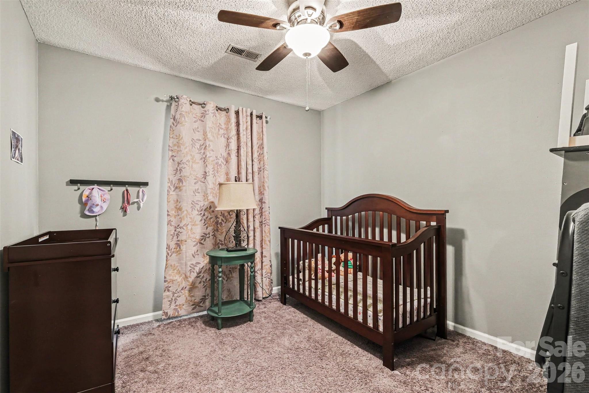 9803 Cooper Run Lane Property Photo 33