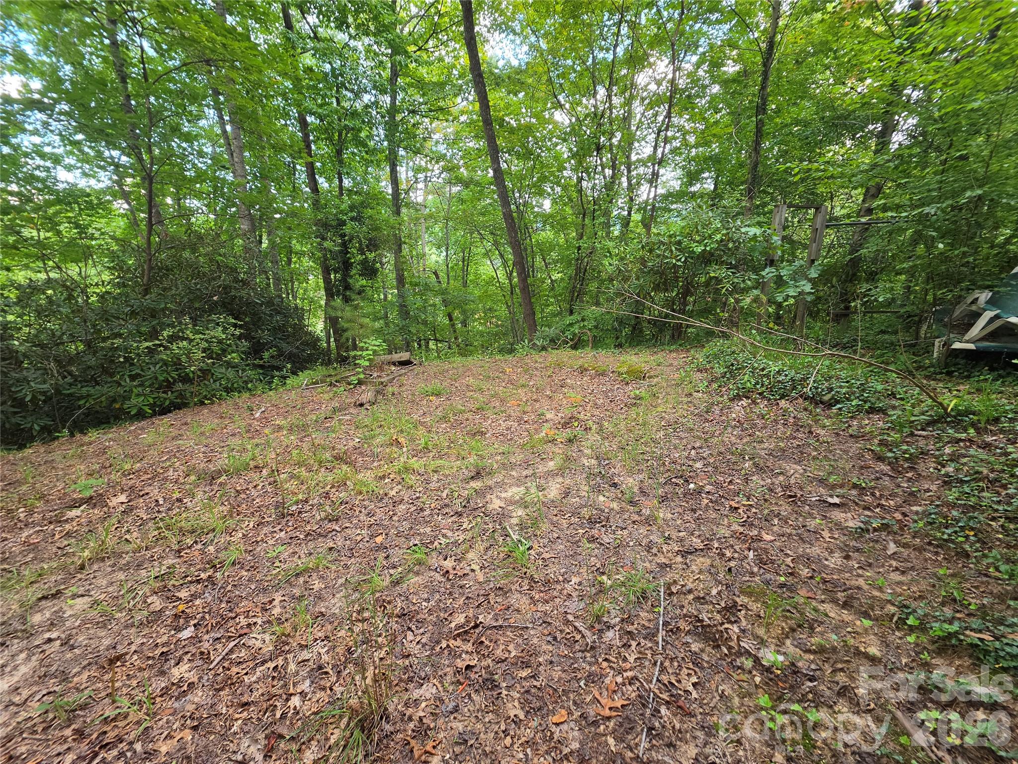 40 Gunches Dirt Road Property Photo 6