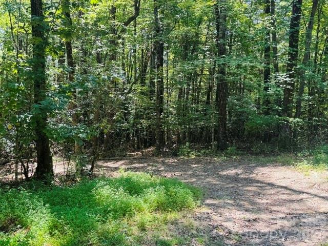 475 Old Little Mountain Road Property Photo 1