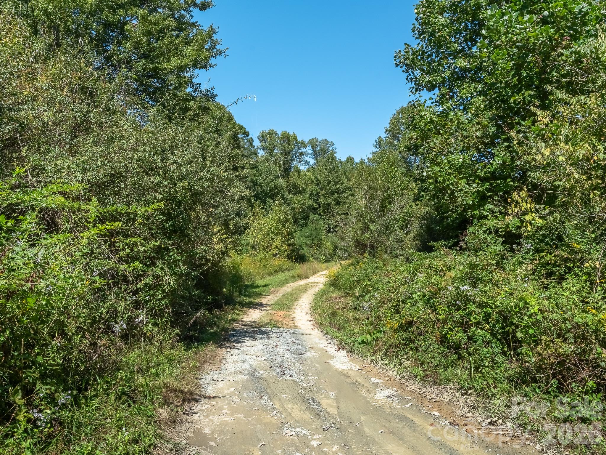475 Old Little Mountain Road Property Photo 3