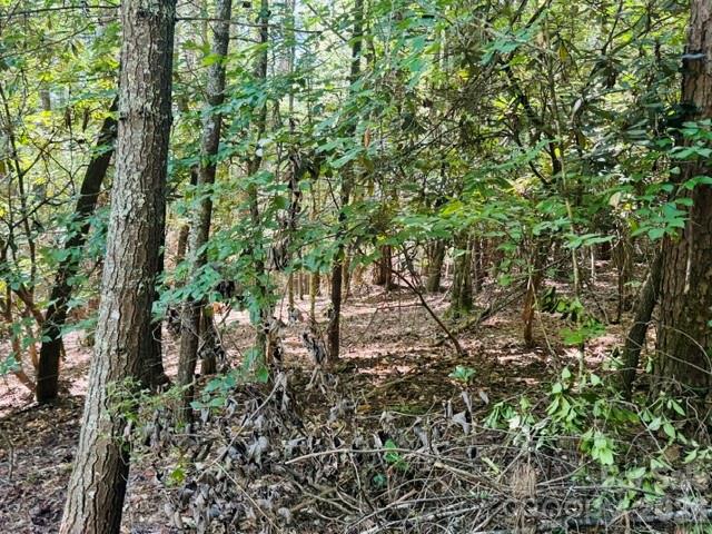 475 Old Little Mountain Road Property Photo 5