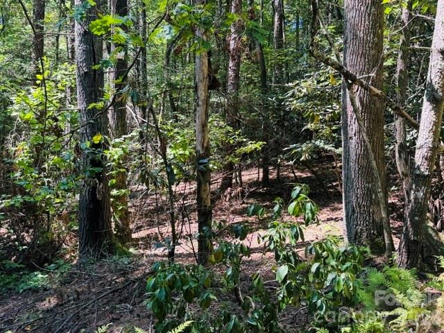 475 Old Little Mountain Road Property Photo 7