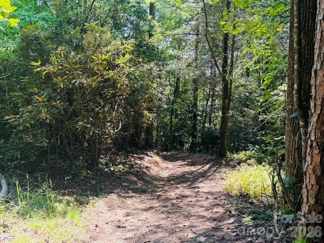 475 Old Little Mountain Road Property Photo 8