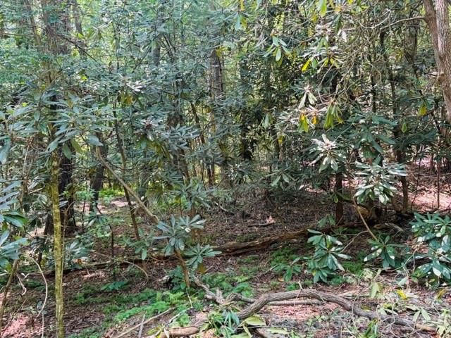 475 Old Little Mountain Road Property Photo 9