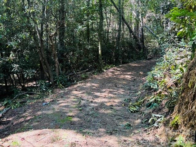 475 Old Little Mountain Road Property Photo 10