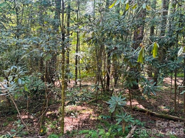475 Old Little Mountain Road Property Photo 11