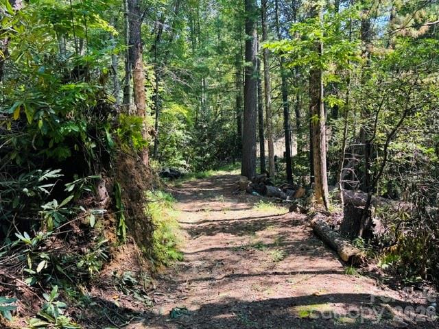 475 Old Little Mountain Road Property Photo 12