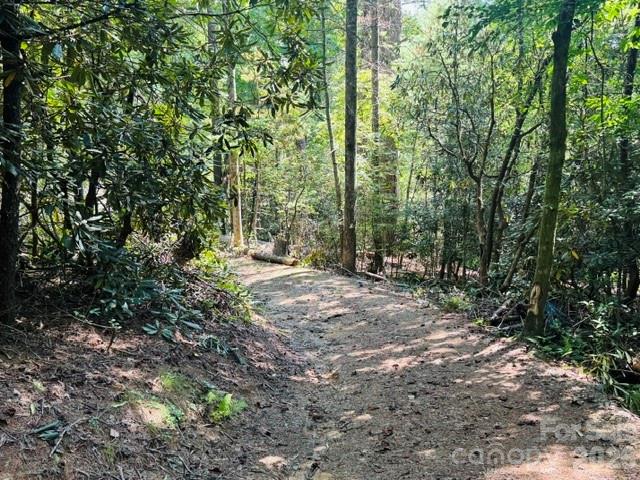 475 Old Little Mountain Road Property Photo 13