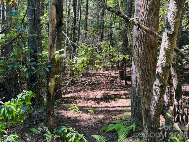 475 Old Little Mountain Road Property Photo 14