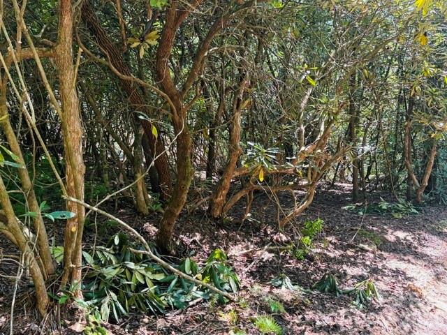 475 Old Little Mountain Road Property Photo 15