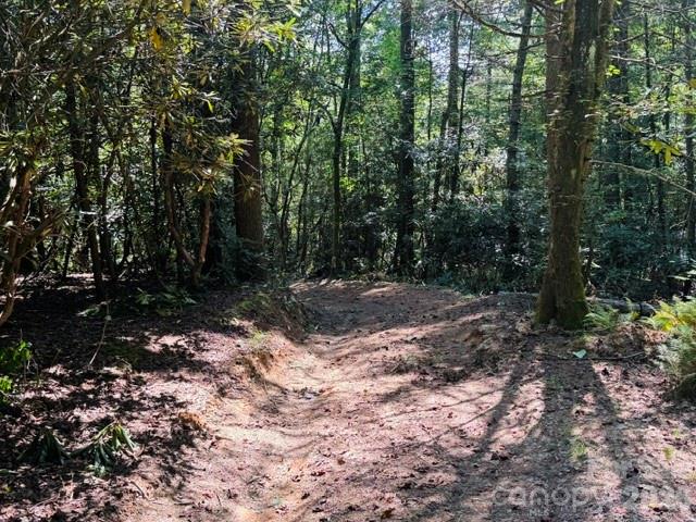 475 Old Little Mountain Road Property Photo 16