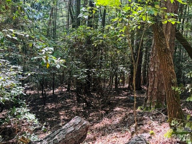 475 Old Little Mountain Road Property Photo 17