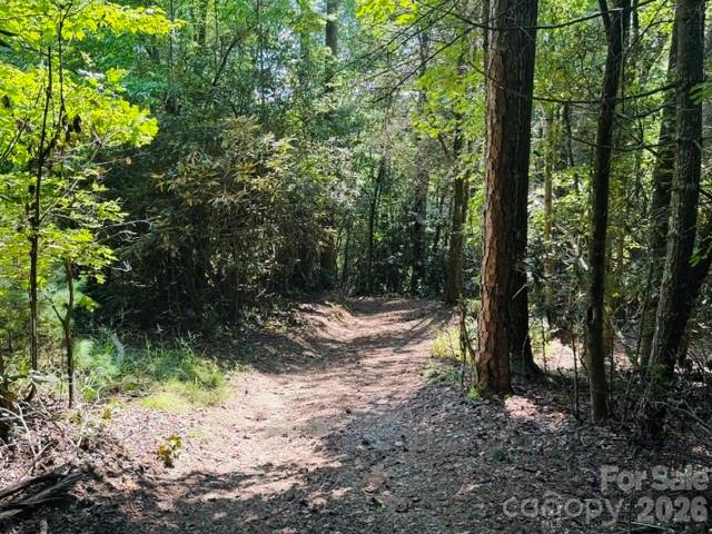 475 Old Little Mountain Road Property Photo 18