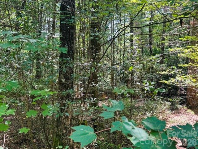 475 Old Little Mountain Road Property Photo 19