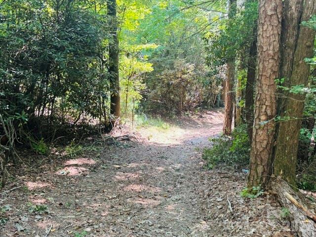 475 Old Little Mountain Road Property Photo 20