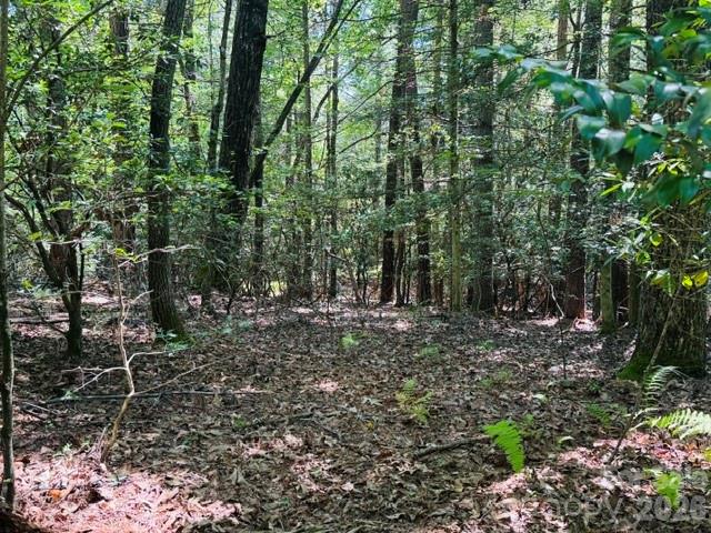 475 Old Little Mountain Road Property Photo 21
