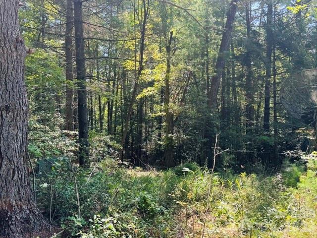 475 Old Little Mountain Road Property Photo 22
