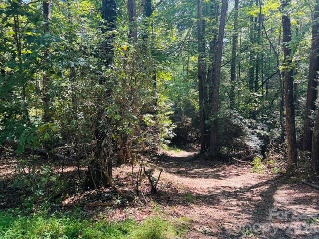 475 Old Little Mountain Road Property Photo 23