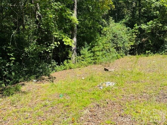 475 Old Little Mountain Road Property Photo 24
