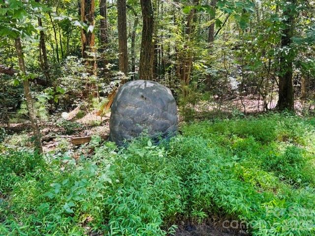 475 Old Little Mountain Road Property Photo 25