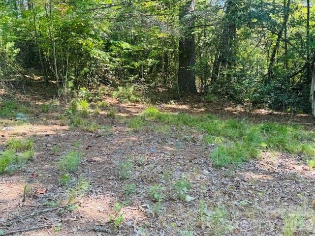475 Old Little Mountain Road Property Photo 26