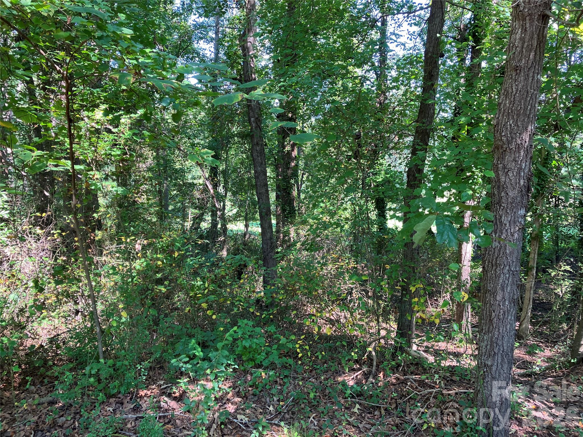 745 Lake Davis Road Property Photo 12