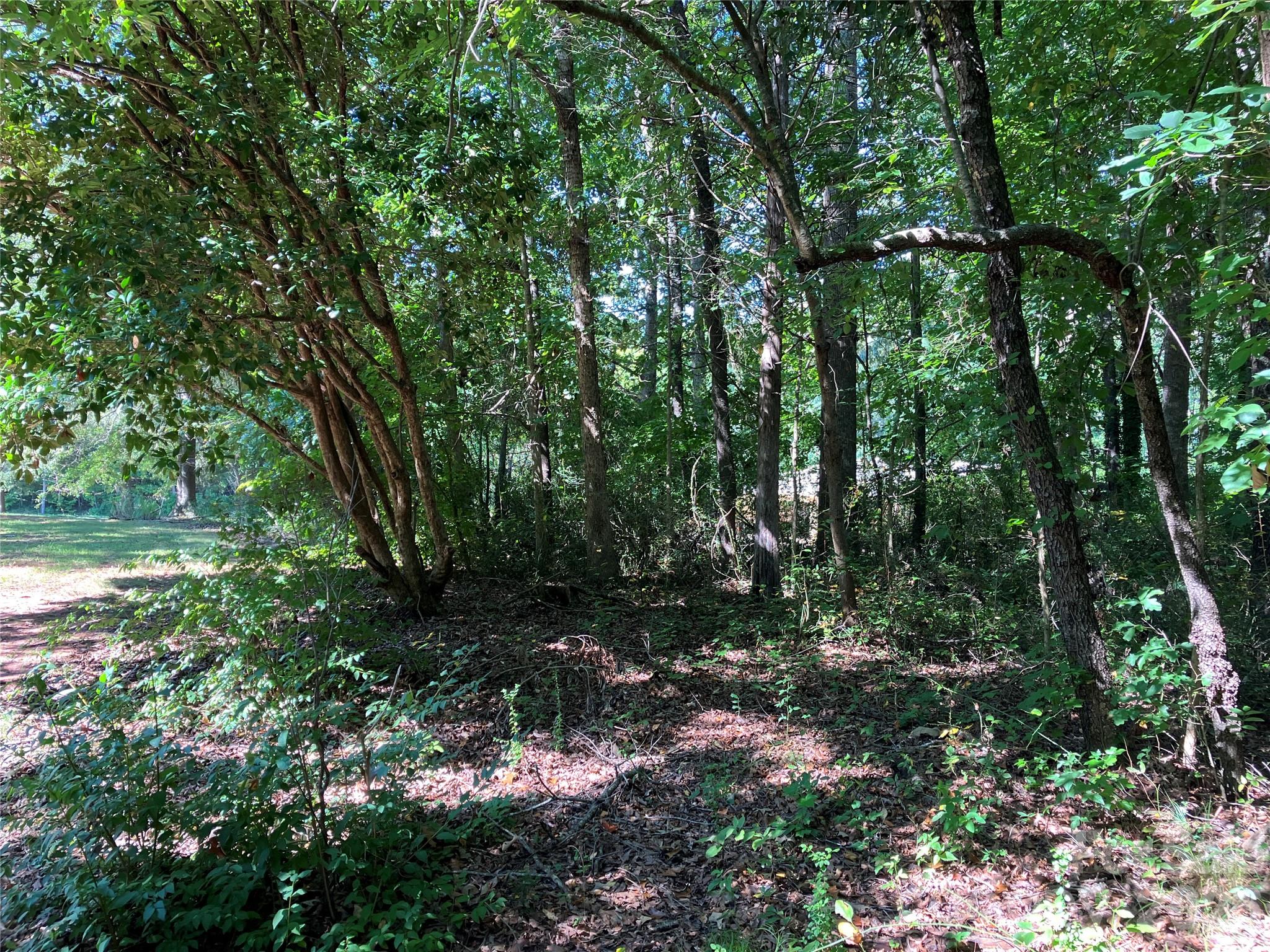 745 Lake Davis Road Property Photo 13