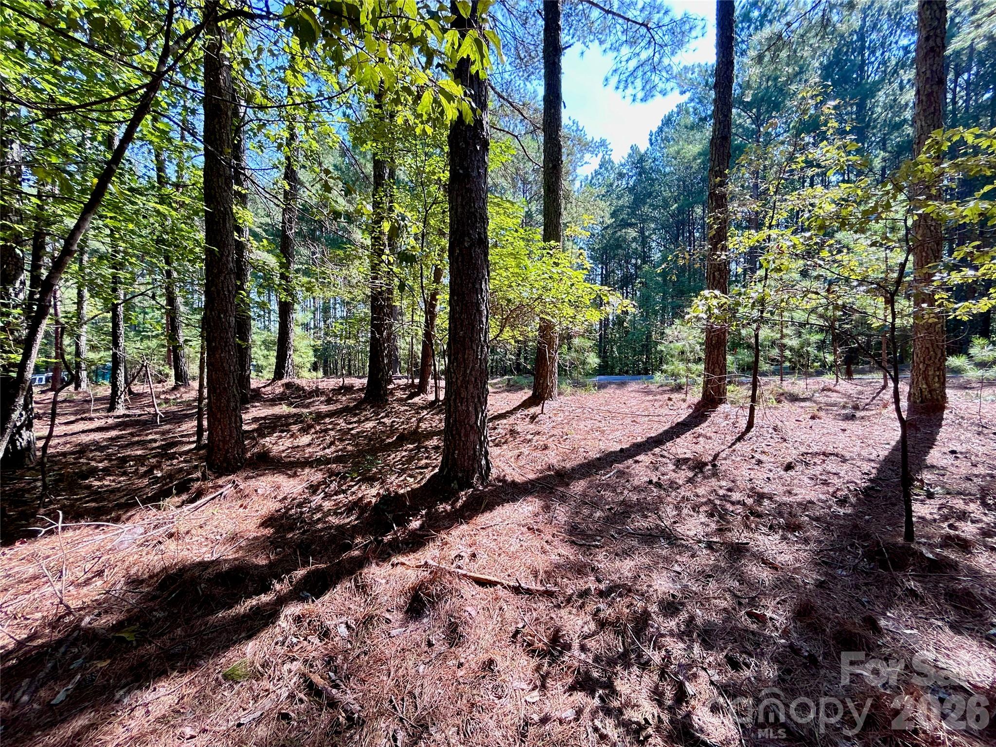 1461 Cordova Drive Property Photo 3