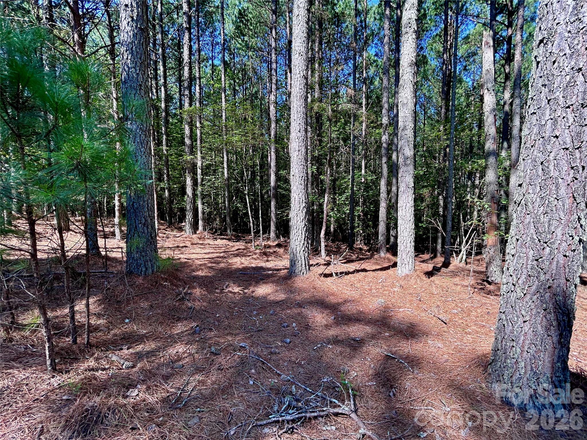 1461 Cordova Drive Property Photo 4