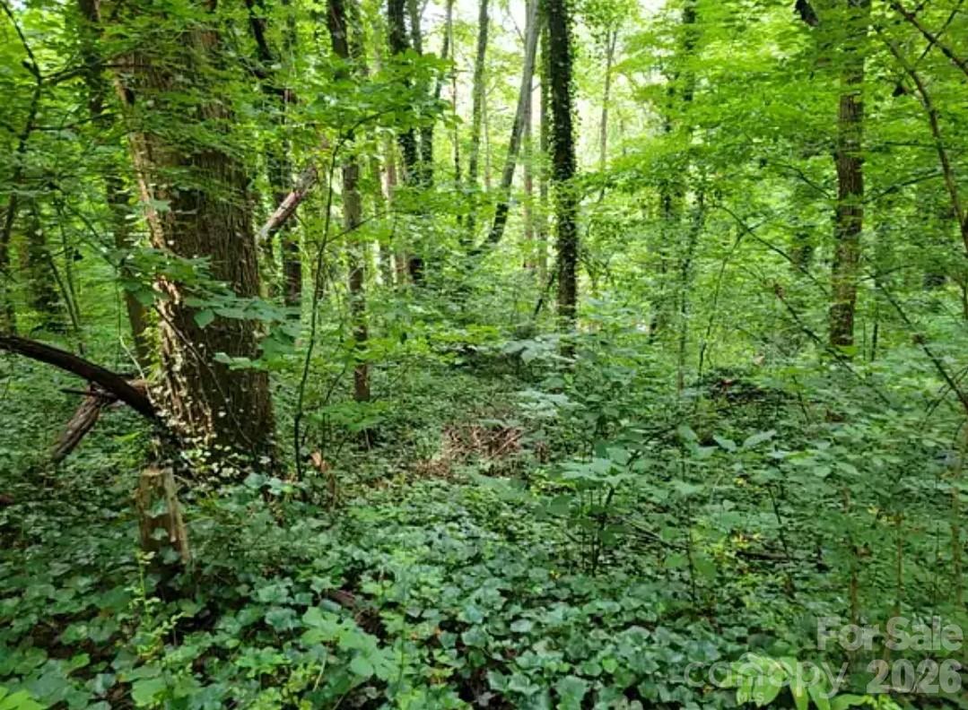 0 Rock Broad River Road 21 Property Photo 1