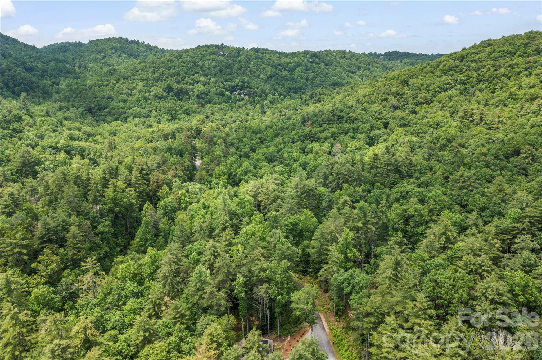 68 Huckleberry Ridge Lane Property Photo 42