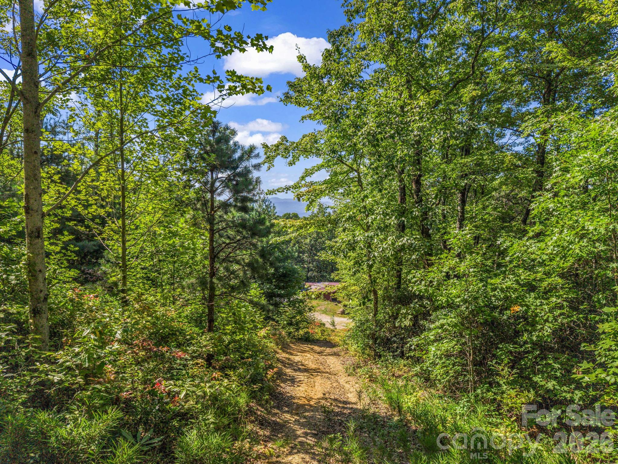 557 Sutton Mountain Ridge Property Photo 34