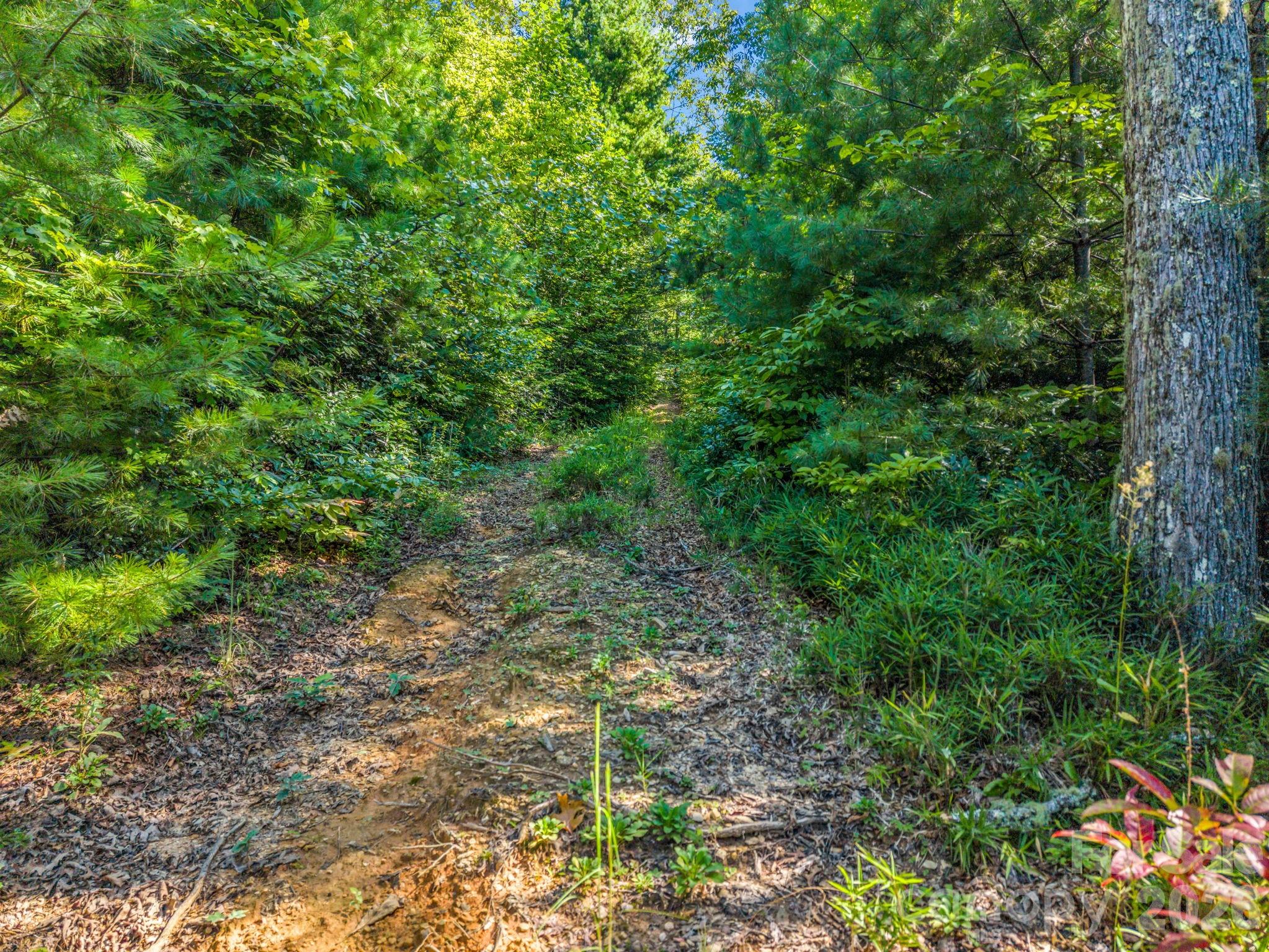 557 Sutton Mountain Ridge Property Photo 35