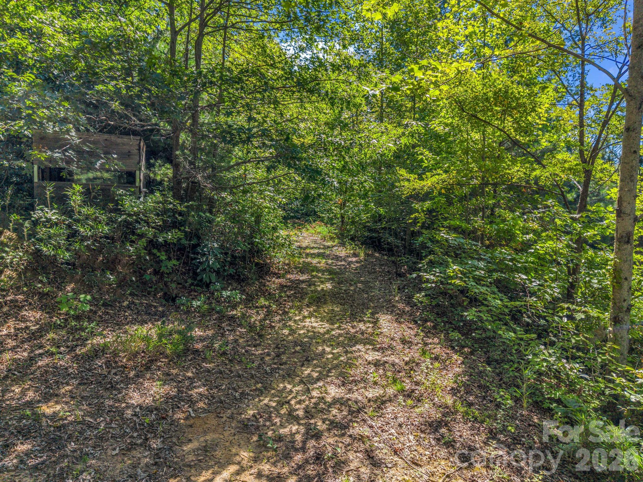 557 Sutton Mountain Ridge Property Photo 36