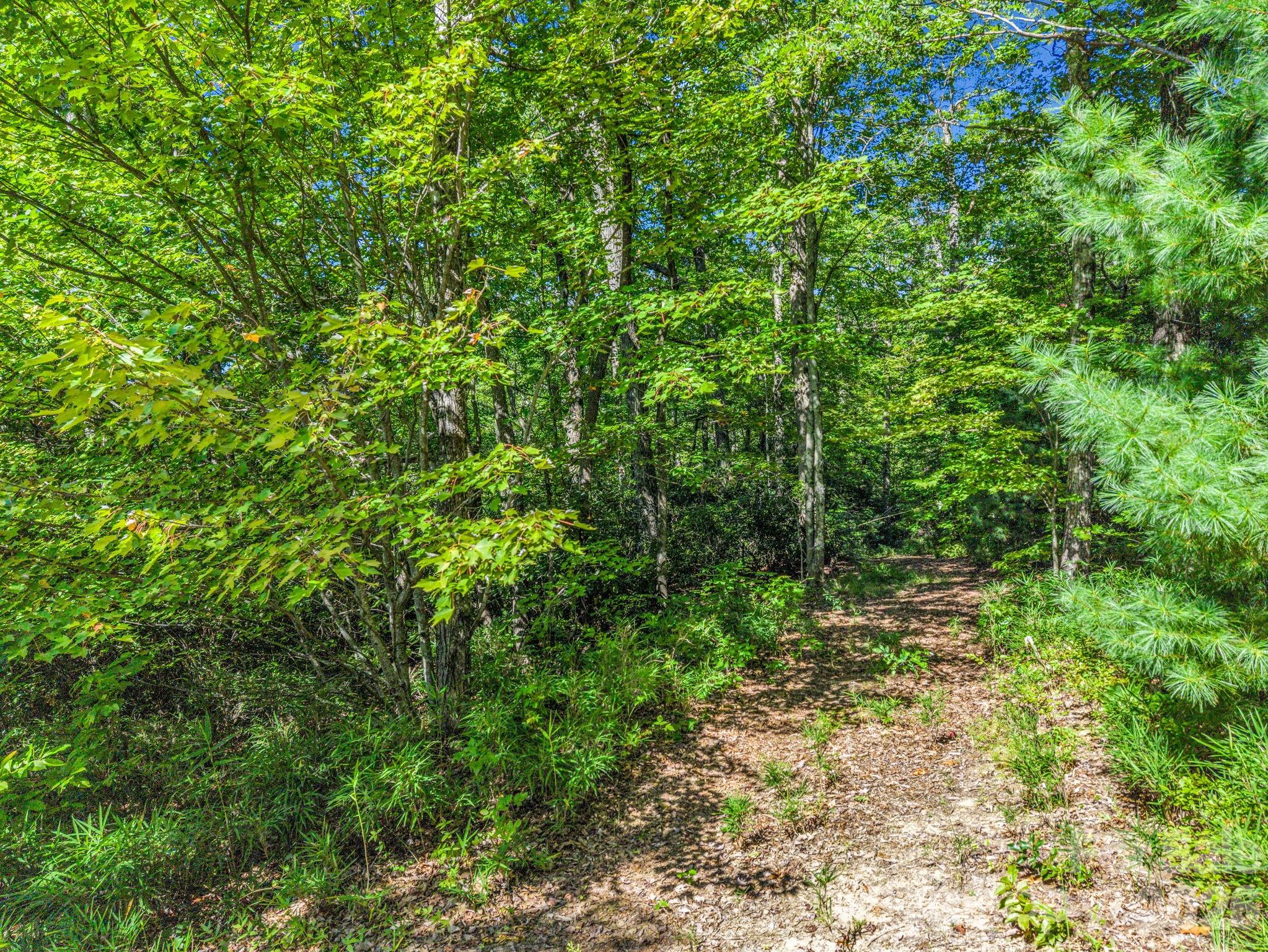 557 Sutton Mountain Ridge Property Photo 38