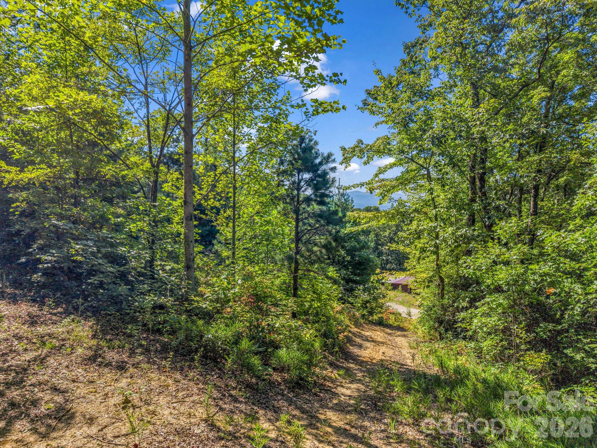557 Sutton Mountain Ridge Property Photo 39