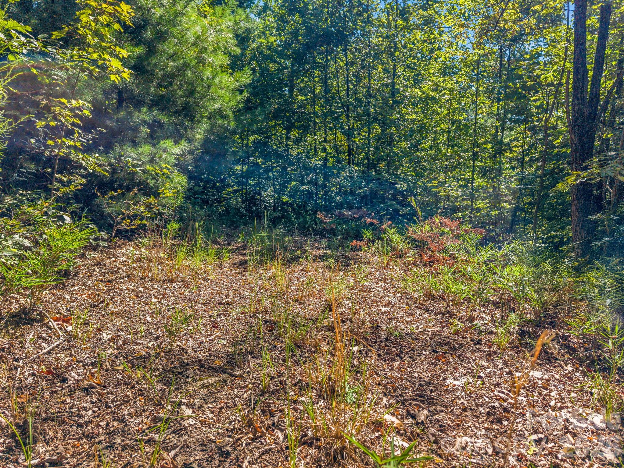 557 Sutton Mountain Ridge Property Photo 40