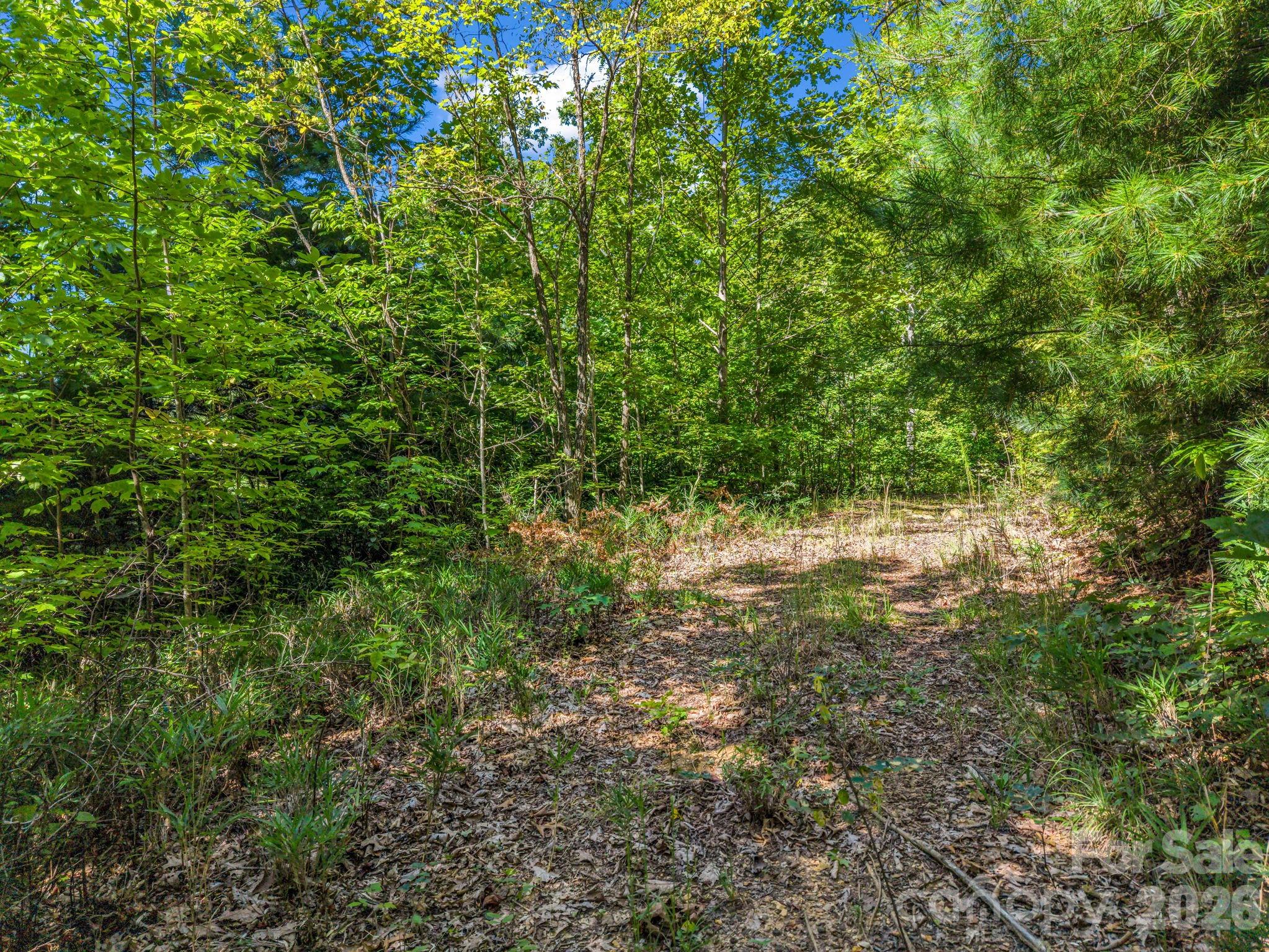 557 Sutton Mountain Ridge Property Photo 42