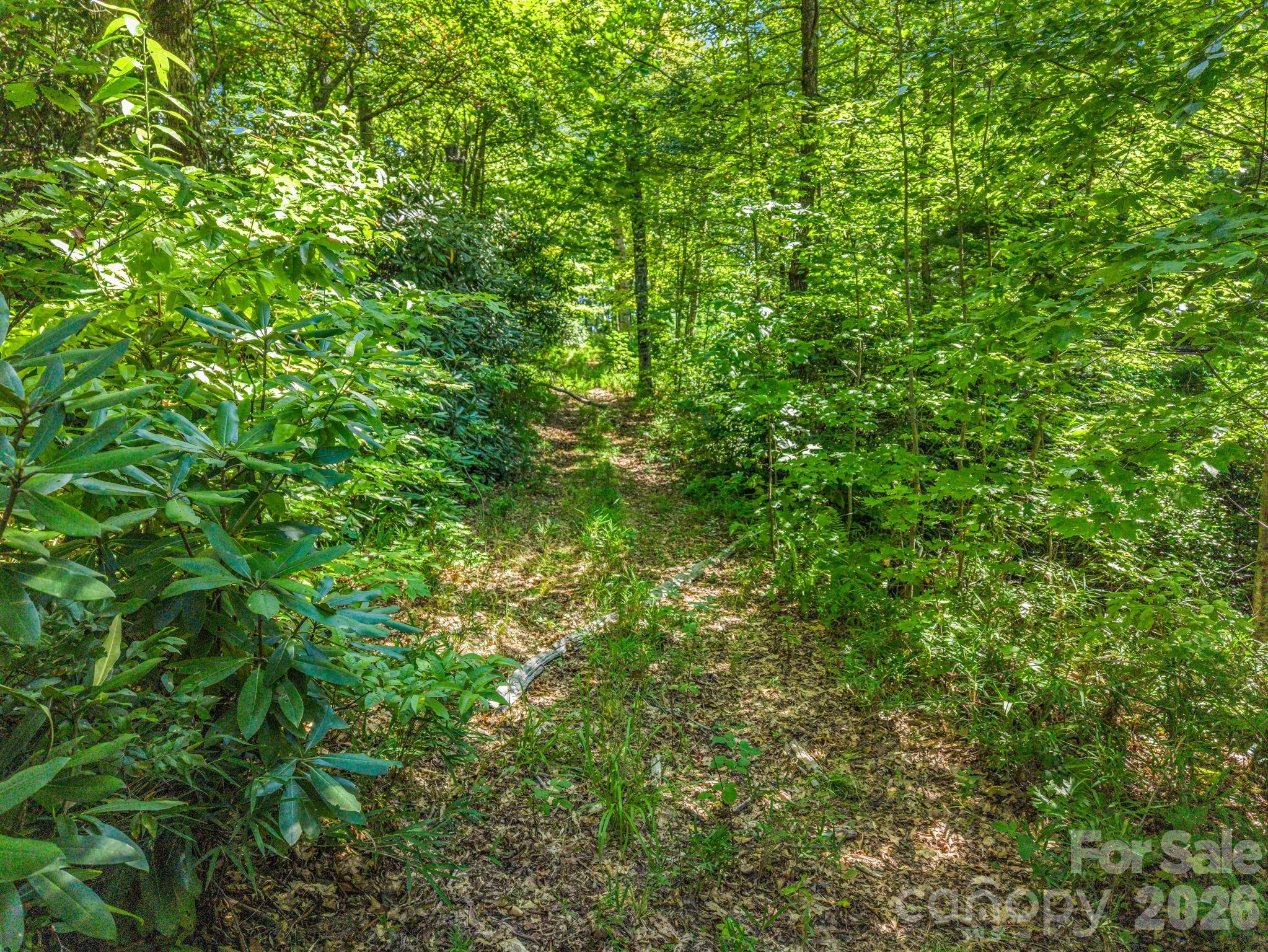 557 Sutton Mountain Ridge Property Photo 43