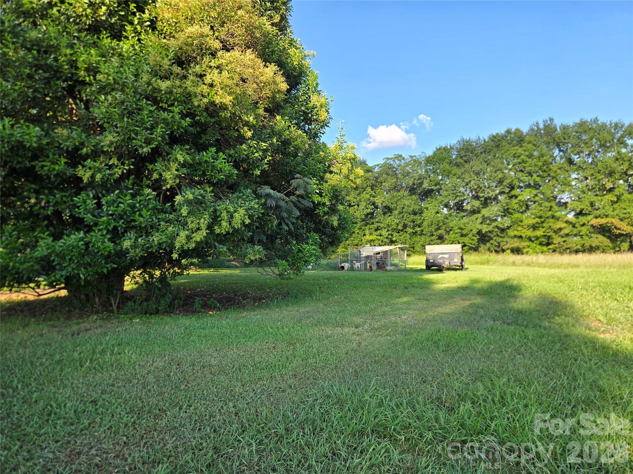 2703 Prospect Church Road Property Photo 16