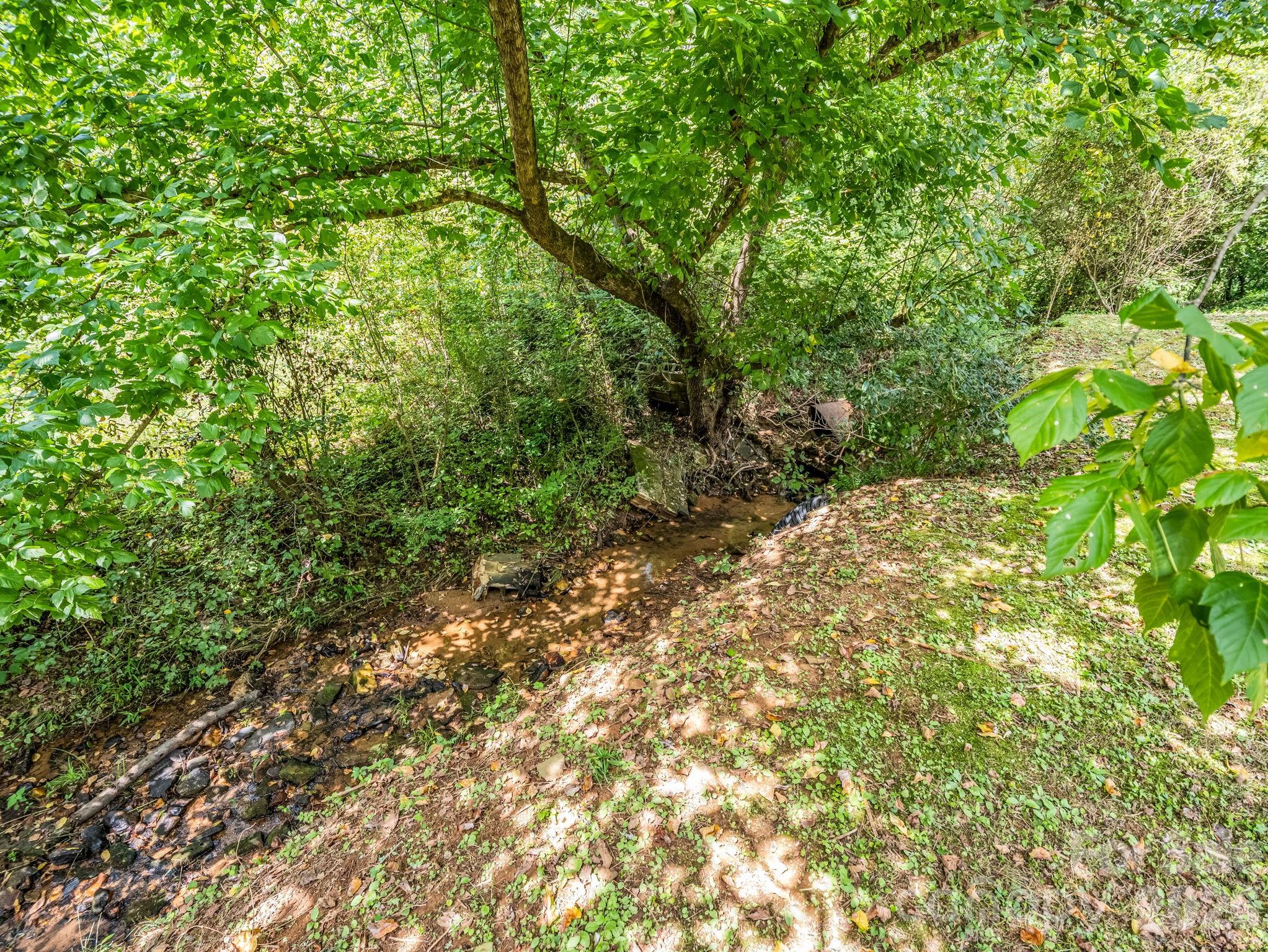 2957 Nc Highway 226 Highway Property Photo 12