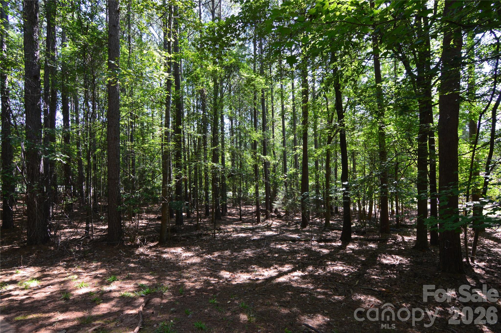 3009 Ashwood Park Drive 271 Property Photo 6