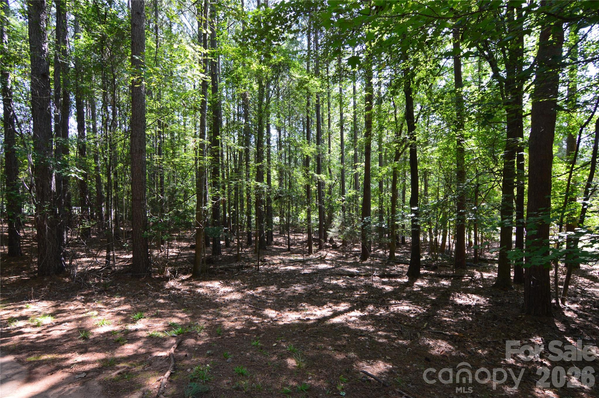 3009 Ashwood Park Drive 271 Property Photo 7
