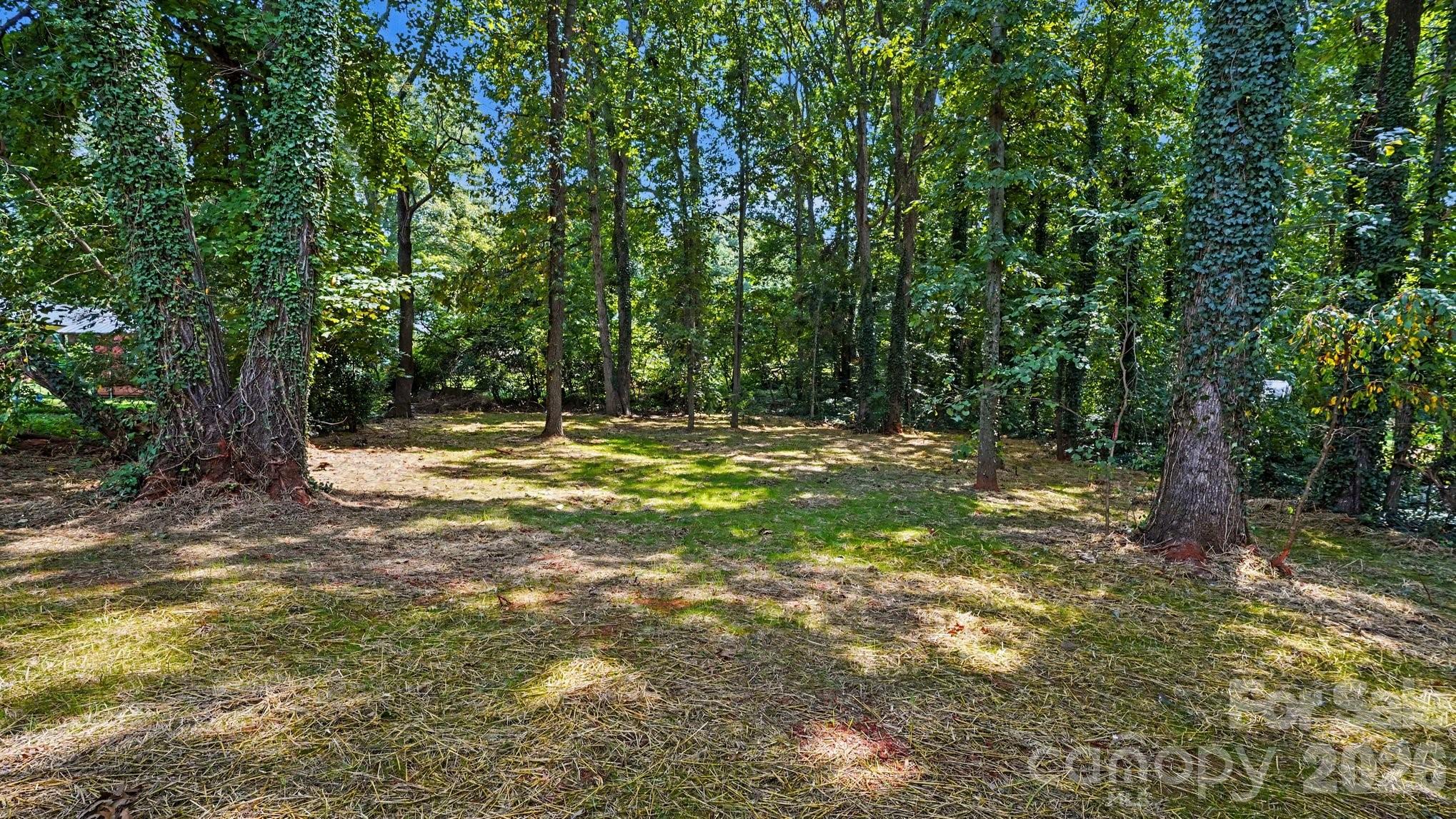 113 Little John Road Property Photo 16